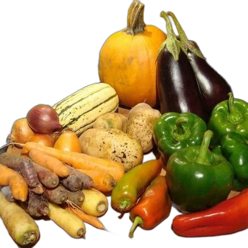food, crown, photorealistic, colorful, earth tones, variety, vegetables, including transparent PNG cut-out