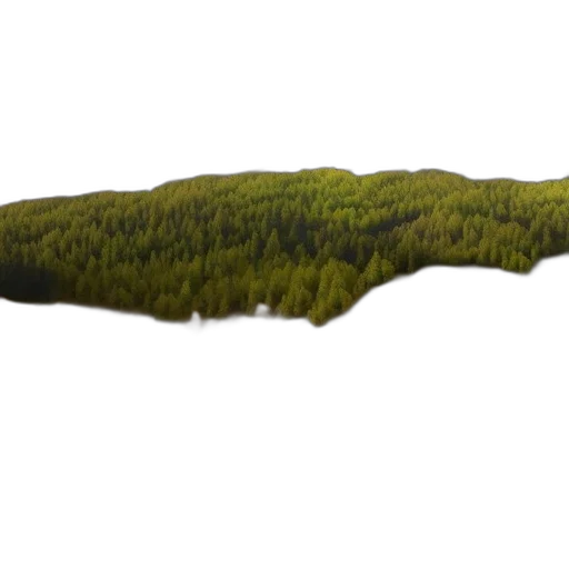 tree, hair, staff, sword, 3d render, photorealistic, concept art, fantasy art transparent PNG cut-out