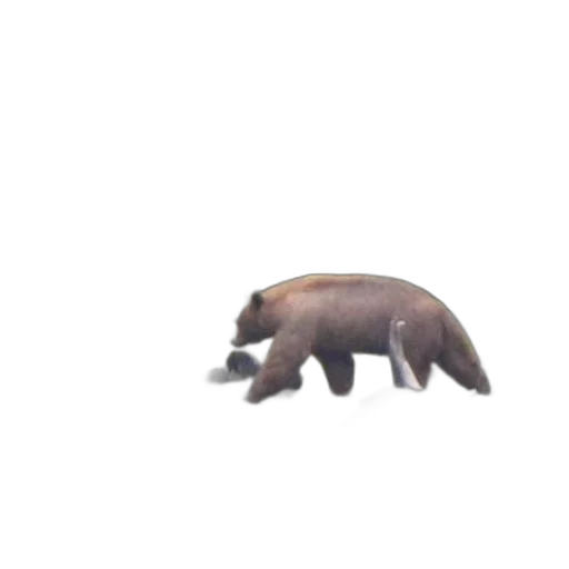 animal, creature, hair, food, concept art, pixel art, 3d render, photorealistic transparent PNG cut-out