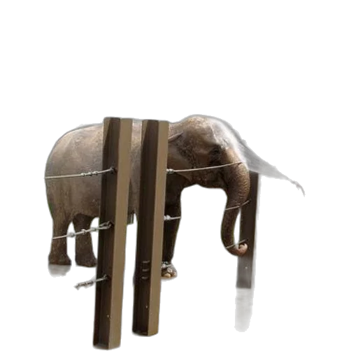 animal, furniture, staff, weapon, 3d render, concept art, photorealistic, fantasy art transparent PNG cut-out