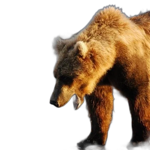 animal, creature, concept art, 3d render transparent PNG cut-out
