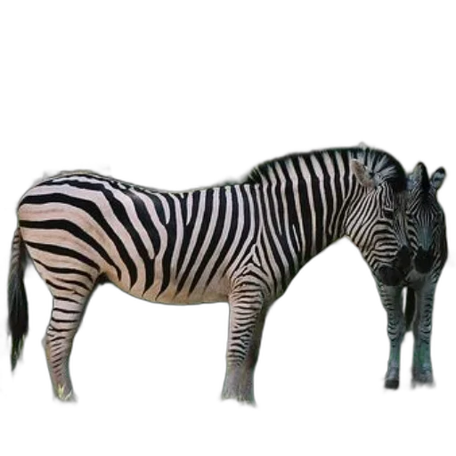 animal, creature, jewelry, staff, 3d render, photorealistic, concept art, watercolor transparent PNG cut-out