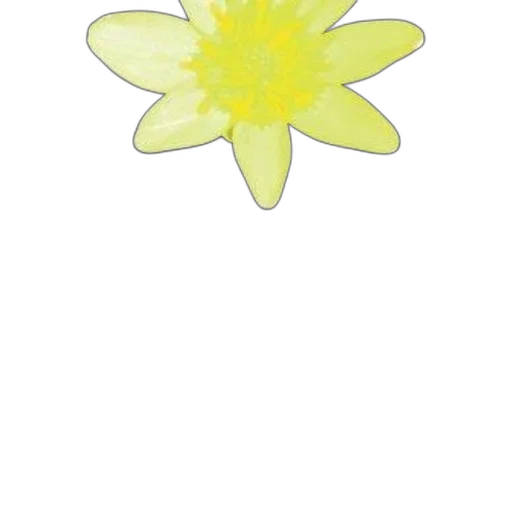 flower, crown, jewelry, staff, photorealistic, watercolor, concept art, pencil sketch transparent PNG cut-out