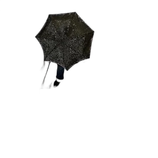 umbrella, staff, jacket, hat, concept art, 3d render, photorealistic, pixel art transparent PNG cut-out