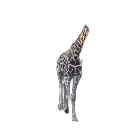 animal, jewelry, creature, staff, 3d render, concept art, photorealistic, fantasy art transparent PNG cut-out