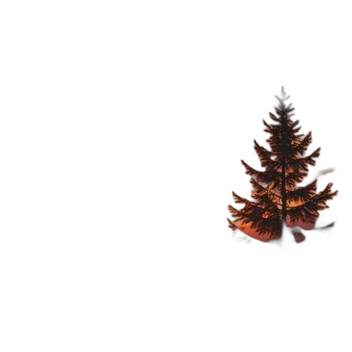 tree, crown, hair, animal transparent PNG cut-out