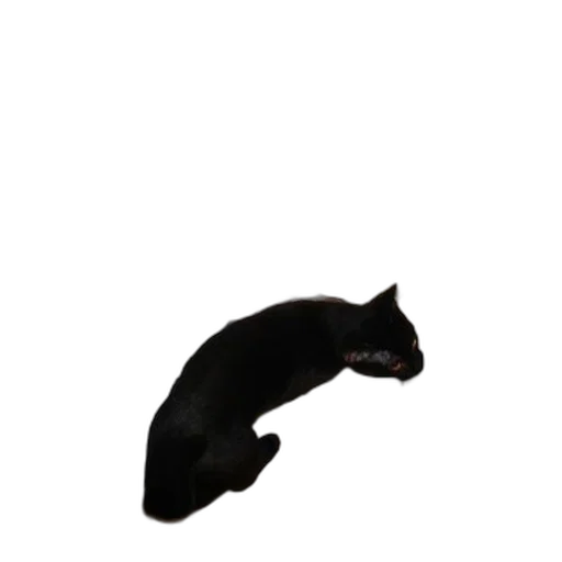 animal, creature, staff, hat, photorealistic, 3d render, pixel art, concept art transparent PNG cut-out