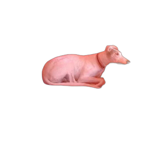 animal, creature, food, dress, 3d render, photorealistic, concept art, pixel art transparent PNG cut-out