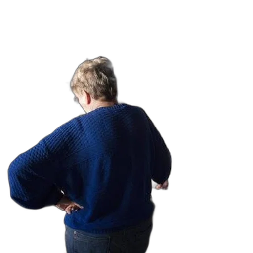 jacket, dress, staff, weapon, 3d render, person, blue, sweater transparent PNG cut-out