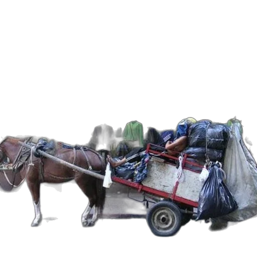 animal, car, staff, furniture, photorealistic, concept art, horse, pulls transparent PNG cut-out