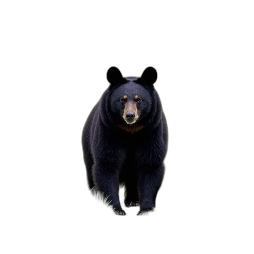 animal, creature, staff, face, photorealistic, 3d render, pixel art, concept art transparent PNG cut-out