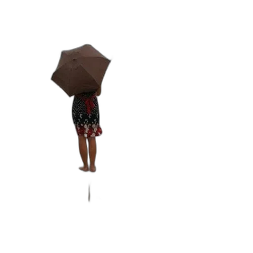 umbrella, staff, jacket, dress, 3d render, concept art, pixel art, photorealistic transparent PNG cut-out