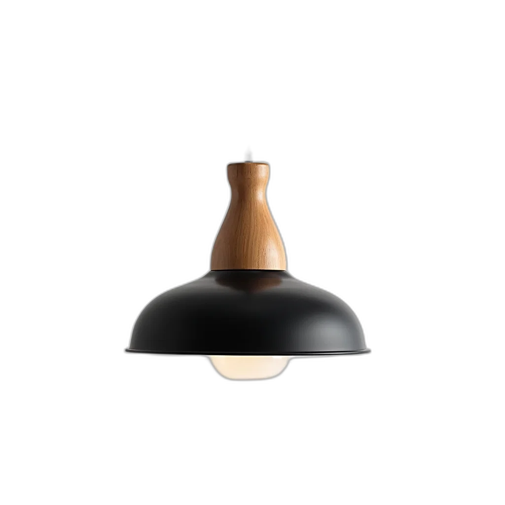 3d render, dark, earth tones, modern, pendant, light, black, shade transparent PNG cut-out