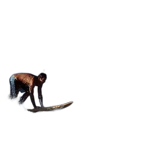 animal, creature, staff, weapon transparent PNG cut-out