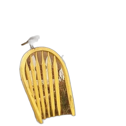 furniture, crown, jewelry, weapon, 3d render, photorealistic, golden, bird transparent PNG cut-out