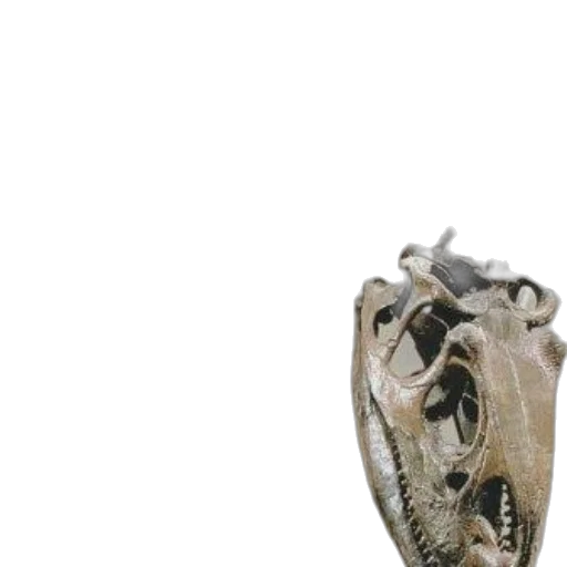 dragon, shoes, mask, animal, photorealistic, 3d render, concept art, pixel art transparent PNG cut-out