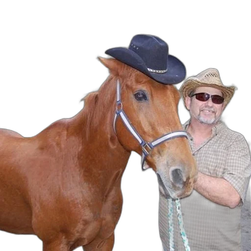 animal, hat, creature, staff, photorealistic, man, cowboy, stands transparent PNG cut-out