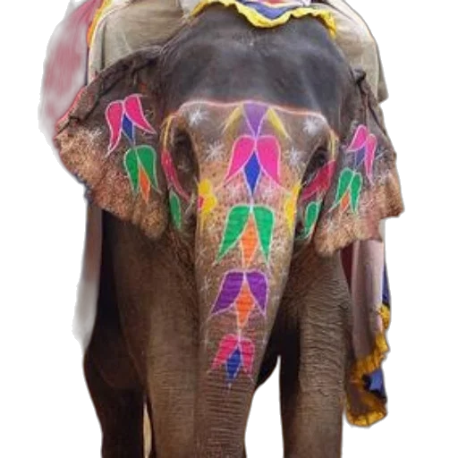 animal, jewelry, umbrella, staff, photorealistic, concept art, 3d render, colorful transparent PNG cut-out