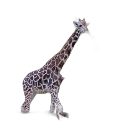 animal, creature, staff, jewelry, 3d render, concept art, photorealistic, fantasy art transparent PNG cut-out
