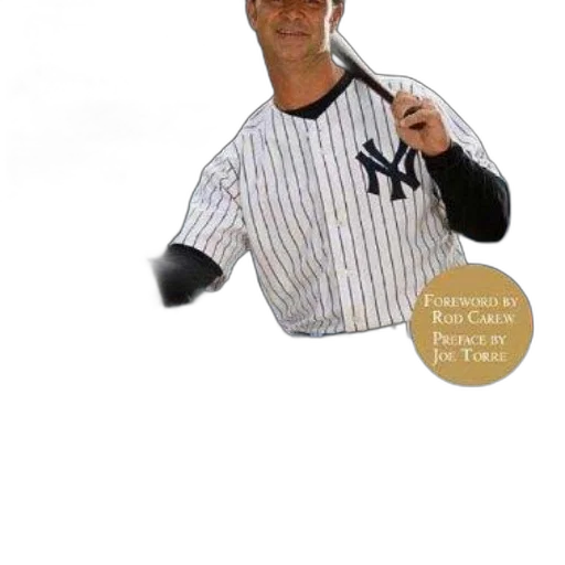 jacket, animal, creature, cover, don, mattingly, hitting, simple transparent PNG cut-out