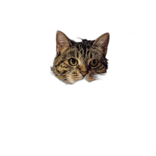 animal, staff, face, creature, photorealistic, pixel art, 3d render, oil painting transparent PNG cut-out