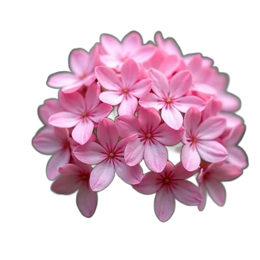 flower, jewelry, crown, staff, 3d render, photorealistic, oil painting, pastel transparent PNG cut-out