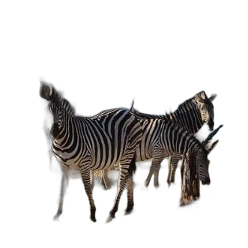 animal, creature, furniture, jewelry, 3d render, concept art, photorealistic, fantasy art transparent PNG cut-out