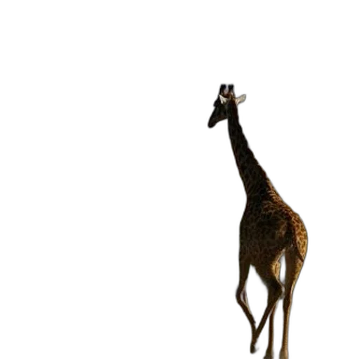animal, creature, staff, hat, concept art, photorealistic, 3d render, pixel art transparent PNG cut-out