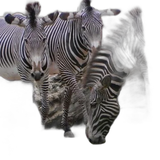 animal, creature, dragon, hair, photorealistic, 3d render, concept art, fantasy art transparent PNG cut-out