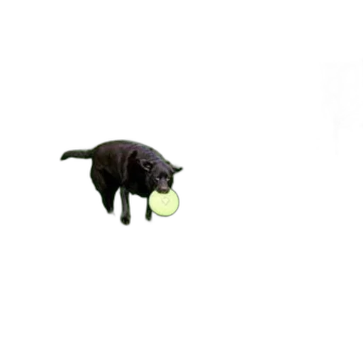 animal, creature, food, dragon, pixel art, photorealistic, 3d render, concept art transparent PNG cut-out