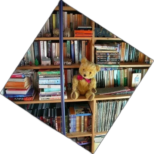 staff, umbrella, animal, hat, teddy, bear, sits, bookshelf transparent PNG cut-out