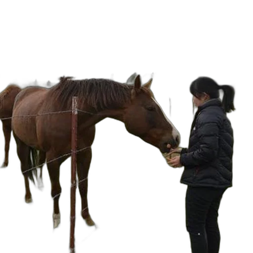 animal, staff, jacket, creature, photorealistic, 3d render, concept art, rain transparent PNG cut-out