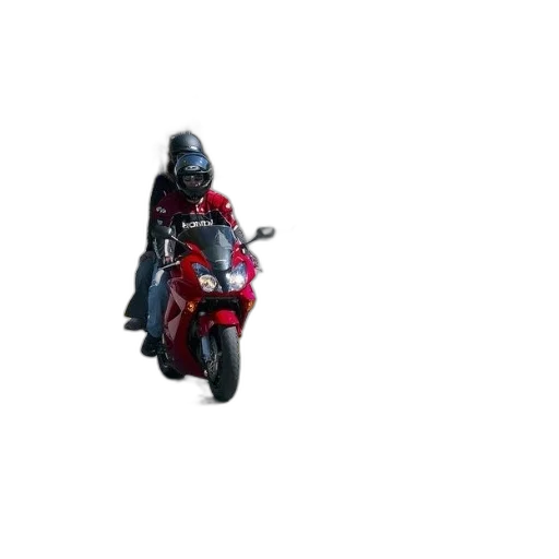 weapon, robot, jacket, animal, pixel art, concept art, 3d render, photorealistic transparent PNG cut-out
