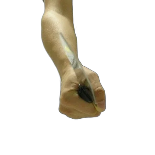 weapon, staff, jewelry, shoes transparent PNG cut-out