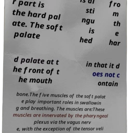 mask, face, food, furniture, image, text-based, description, hard transparent PNG cut-out