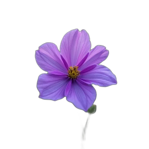 flower, crown, jewelry, staff, photorealistic, 3d render, oil painting, concept art transparent PNG cut-out