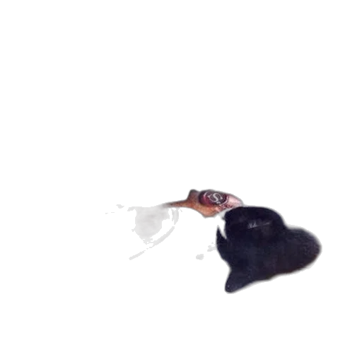 hat, animal, umbrella, creature, 3d render, photorealistic, concept art, watercolor transparent PNG cut-out
