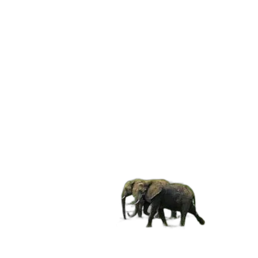 animal, creature, furniture, weapon, 3d render, concept art, pixel art, photorealistic transparent PNG cut-out
