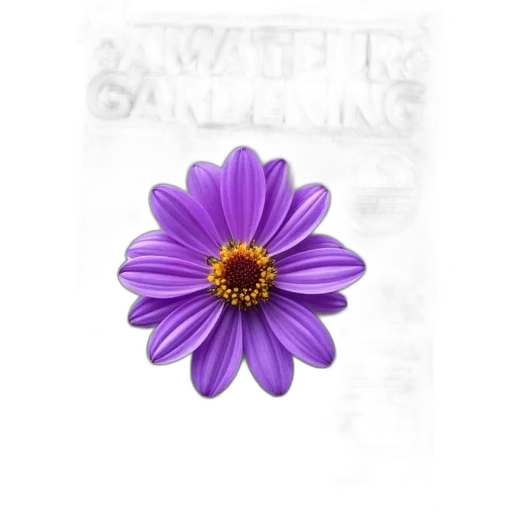 flower, jewelry, crown, staff, 3d render, photorealistic, concept art, pixel art transparent PNG cut-out