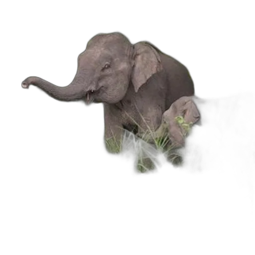 animal, creature, staff, dragon, concept art, photorealistic, 3d render, fantasy art transparent PNG cut-out