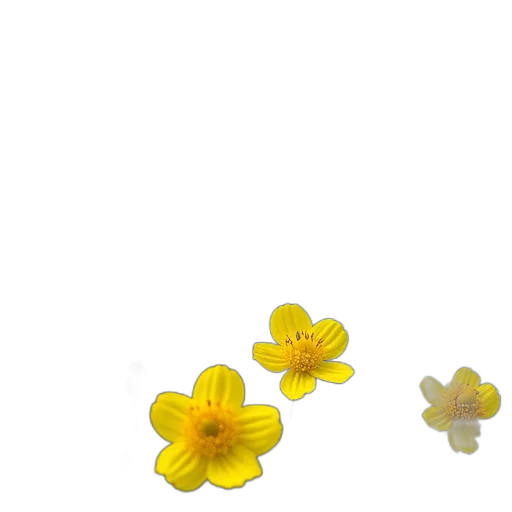 flower, jewelry, crown, food, 3d render, photorealistic, pixel art, concept art transparent PNG cut-out