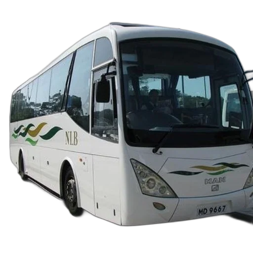 staff, white, bus, letters, nlb, side, parked, lot transparent PNG cut-out