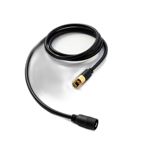 staff, jewelry, weapon, black, gold, cord, small, plug transparent PNG cut-out