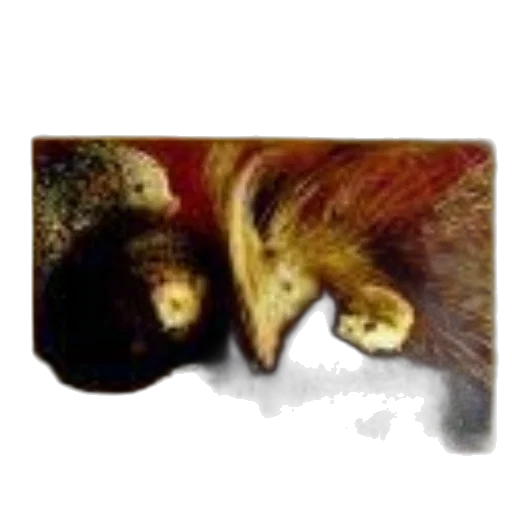 hair, animal, creature, face, photorealistic, oil painting, concept art, 3d render transparent PNG cut-out