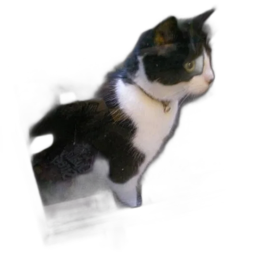 staff, animal, creature, robot transparent PNG cut-out