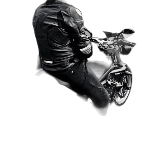 jacket, weapon, animal, face, photorealistic, concept art, comic book art, 3d render transparent PNG cut-out