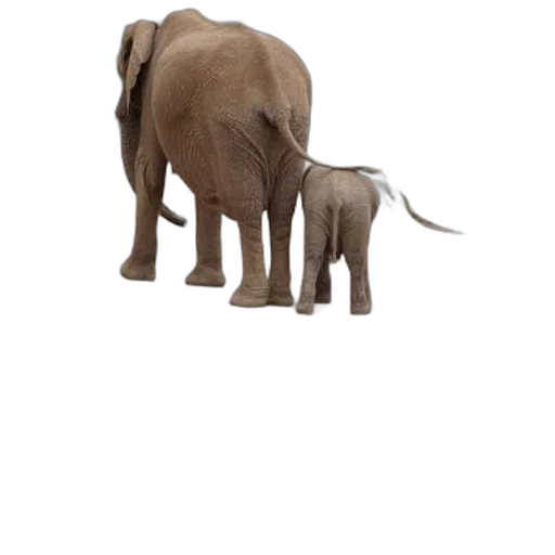 animal, creature, staff, weapon, 3d render, concept art, photorealistic, earth tones transparent PNG cut-out
