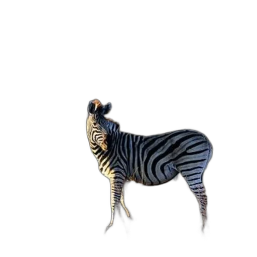 animal, creature, jewelry, dragon, 3d render, concept art, photorealistic, fantasy art transparent PNG cut-out