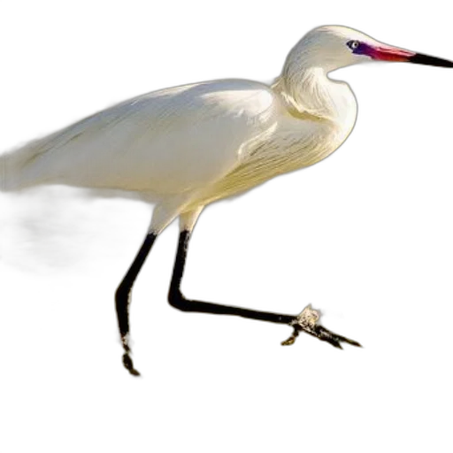animal, staff, creature, weapon, photorealistic, concept art, 3d render, white transparent PNG cut-out