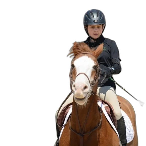 young, girl, wearing, helmet, rides, brown, white, horse transparent PNG cut-out